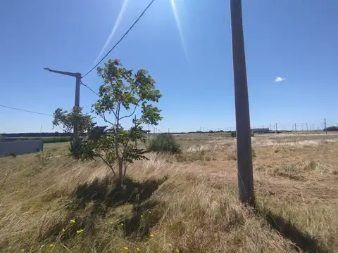 Venta Lote Zona Faro 595 m² - Quequén
