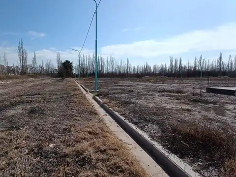 Terreno en Venta de 306,0 m2