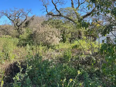 Terreno en Venta de 1126,0 m2