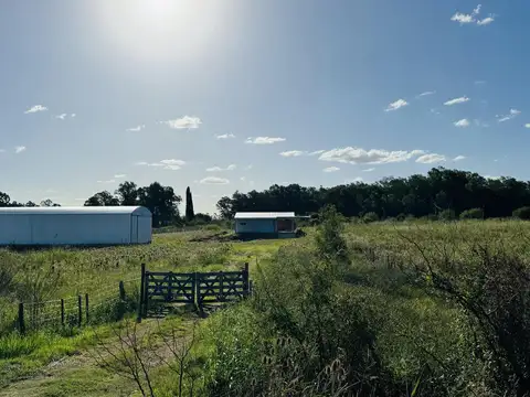 Galpón con casa y 1 Hectárea