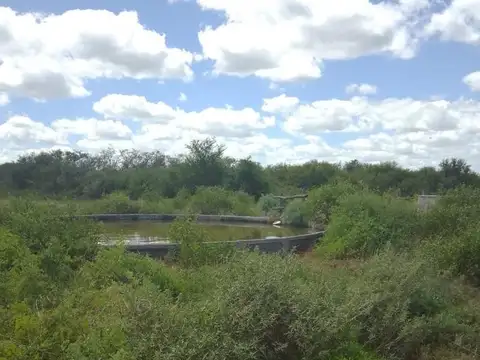 ALQUILER O VENTA DE CAMPO GANADERO EN LA CABRAL
