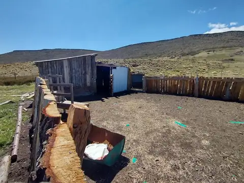 Campo en venta 3329 hectareas