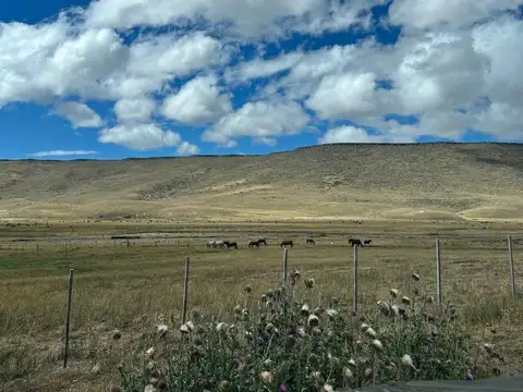 campo en  venta pilcaniyeu