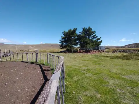 campo en  venta pilcaniyeu