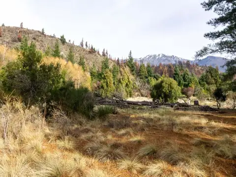 Terreno en Venta de 5000,0 m2