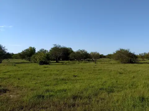 343 has sobre ruta de asfalto