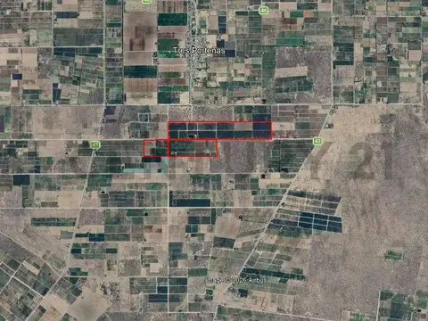 VENTA Fincas Montecaseros, San Martín, Mendoza".