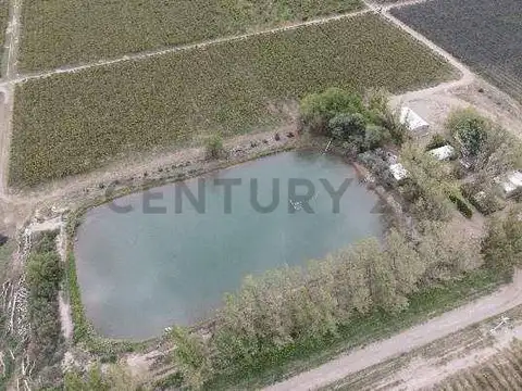 VENTA Fincas Montecaseros, San Martín, Mendoza".