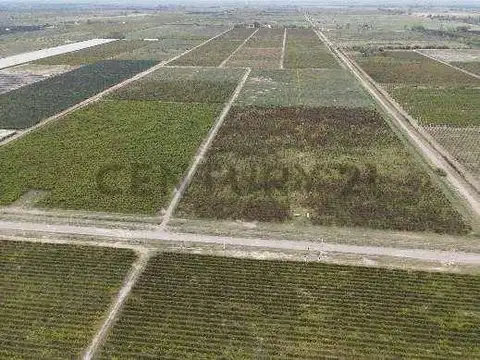 Campo en Venta de 0,01  ha