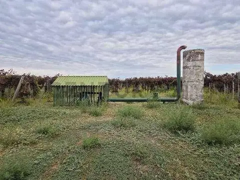 Campo en Venta de 0,01  ha