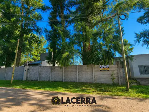 Lote — Vidt al 1900