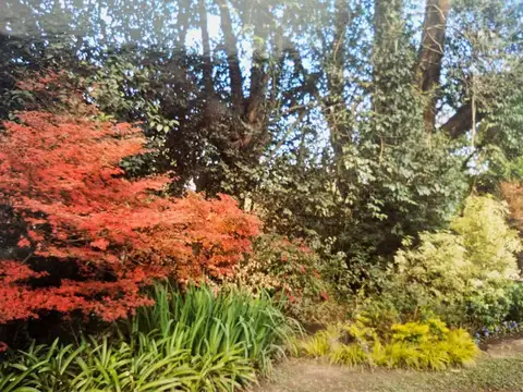 LOTE  EN VENTA - ROBLES DEL MONARCA