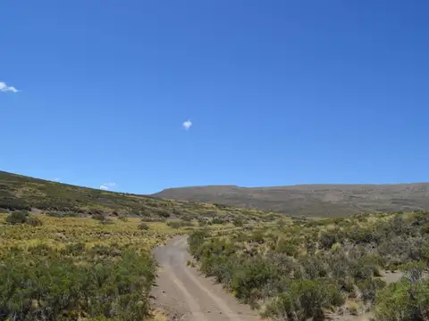 3750 ha en Venta - Ganaderas - Ranquilon - Neuquen