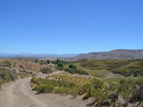3750 ha en Venta - Ganaderas - Ranquilon - Neuquen