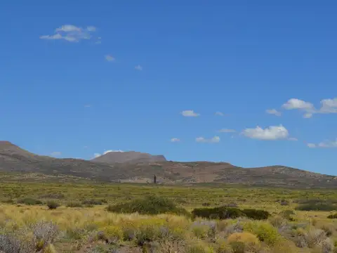 3750 ha en Venta - Ganaderas - Ranquilon - Neuquen