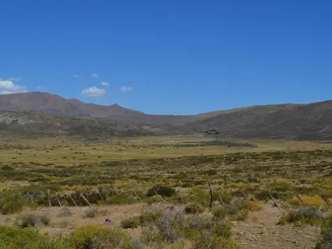 3750 ha - Ganaderas - Ranquilon - Neuquen
