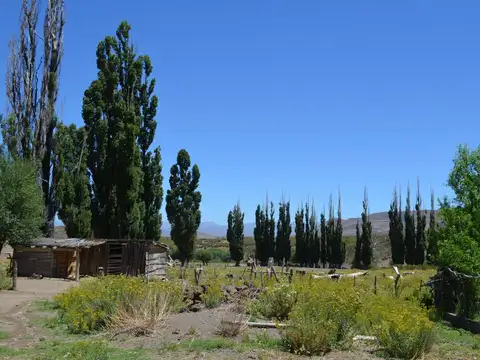 3750 ha - Ganaderas - Ranquilon - Neuquen