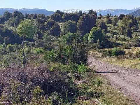 Pueblo Chapelco , Piso 0