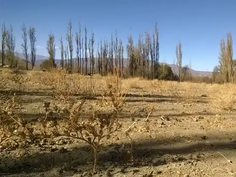 Excelente Finca 7,5 ha venta en Cachi Adentro. C/proyecto pa