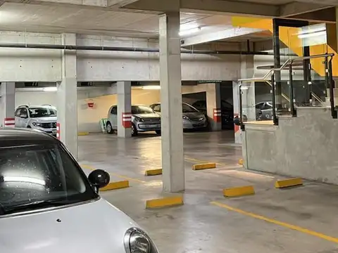 THEDY  100