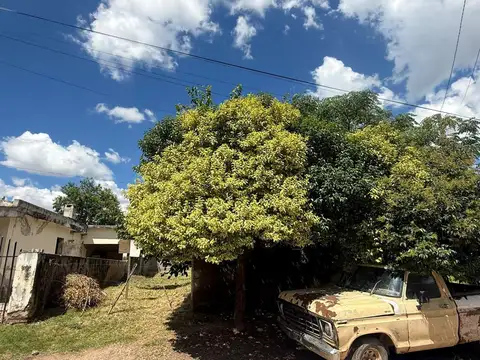 Terreno en Venta 30  mts Fondo