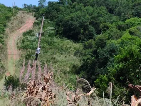 ESPECTACULAR  CHACRA  60 HAS con Arroyo