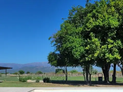 La Verbena