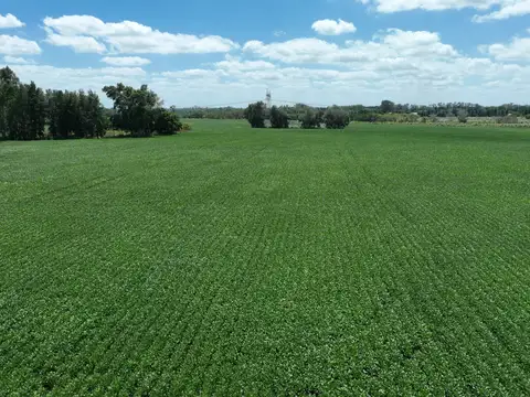 Campo en Venta de 235  ha