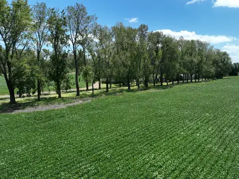 235 Has. Campo con Casco sobre Ruta 8 en Parada Robles