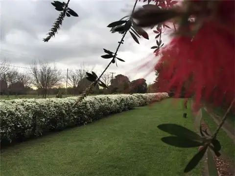 Hotel en Alquiler 23 plazas