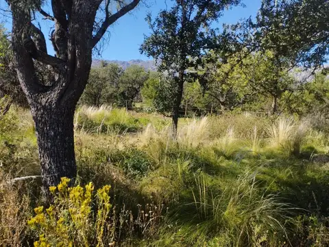 Lotes de 1.000mts en zona de Piscu Yaco