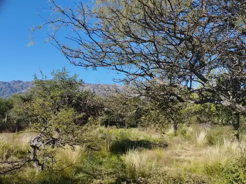 Terreno en Venta de 1010,0 m2