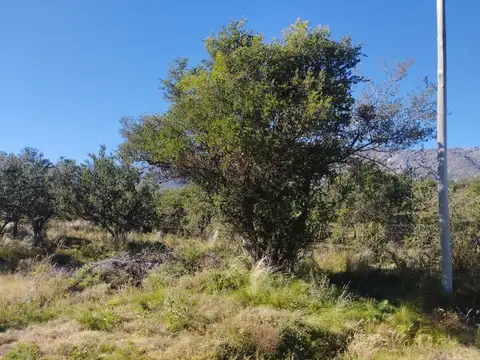 A 150mts De La Ruta 1