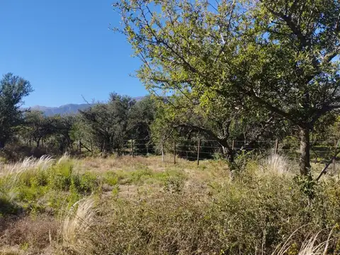 Terreno en Venta de 1010,0 m2