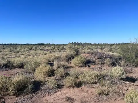 Campo en venta sobre Ruta Nacional 7