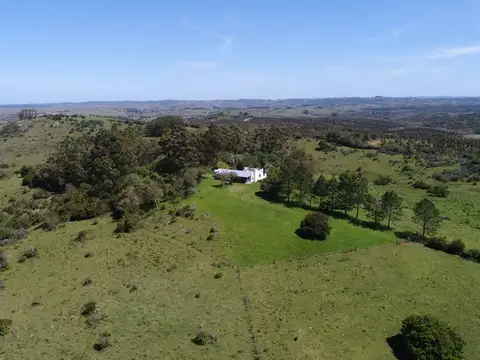 Camino Sais Martinez y camino vecinal