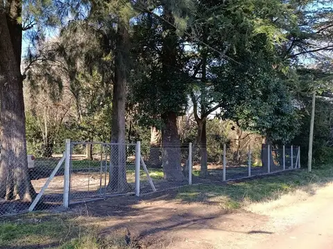 Lote 7.029 m2 La Lonja Pilar.