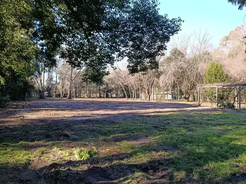 Lote 7.029 m2 La Lonja Pilar.