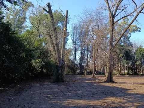 Lote 7.029 m2 La Lonja Pilar.