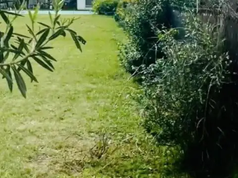 Terreno en Venta de 800,0 m2