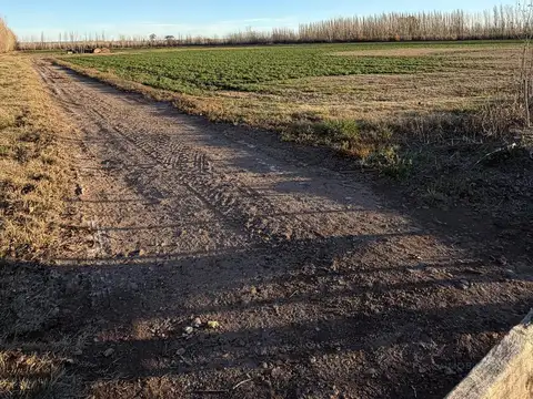RUTA 65