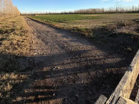 Terreno en Venta en General Roca, USD 145.000