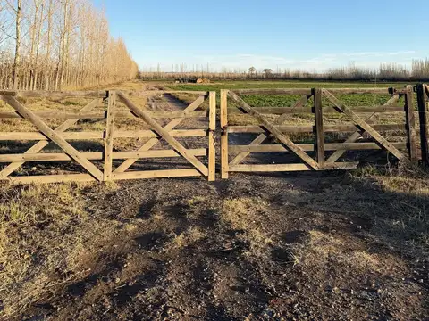 TERRENO 12HA RUTA 65 GRAL ROCA