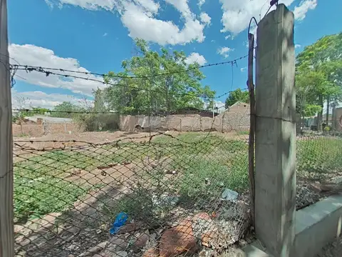 Carola Lorenzini al 1300