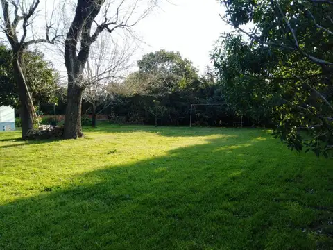 484  e/132 y 133 - Gorina