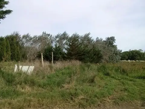 Terreno en Venta de 6400,0 m2