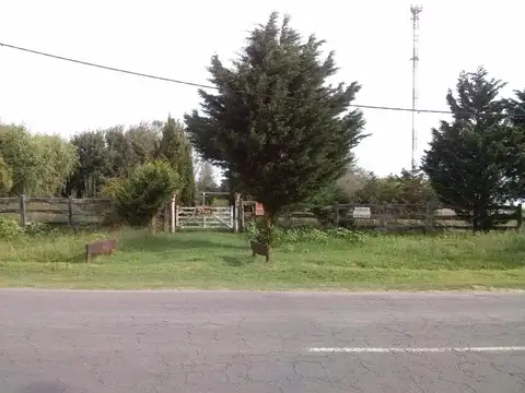 CALLE SALTA Y RUTA 11