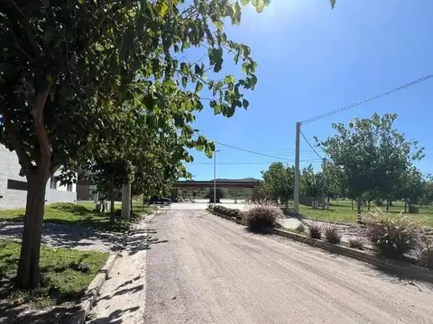 Terreno en Venta de 350,0 m2