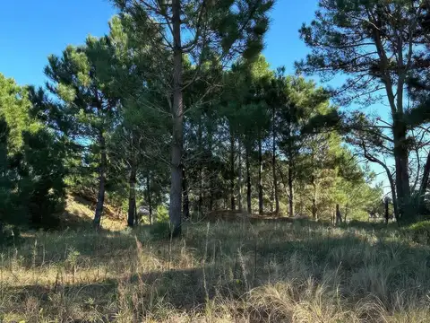 Terreno en Venta en Barrio Cerrado Costa Esmeralda, USD 86.000