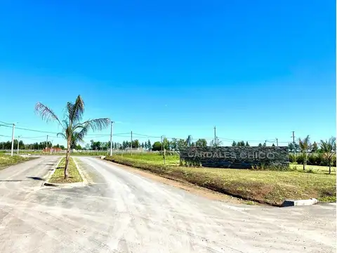 Cardales Chico
